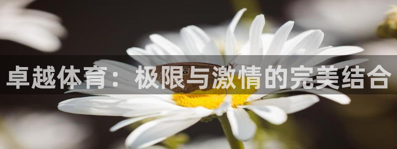 ug环球官网注册：卓越体育：极限与激情的完美结合