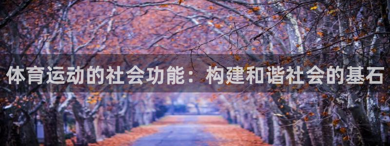 ug环球官网：体育运动的社会功能：构建和谐社会的基石