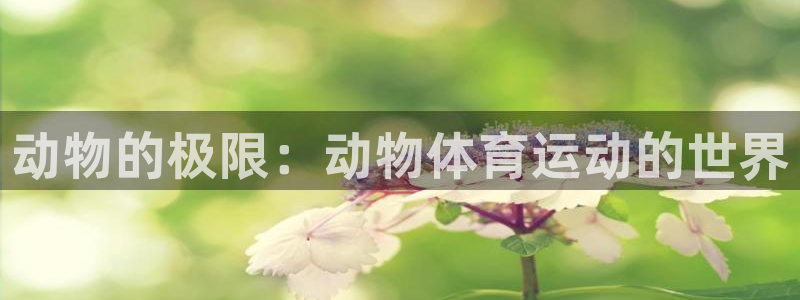 ug环球官网：动物的极限：动物体育运动的世界